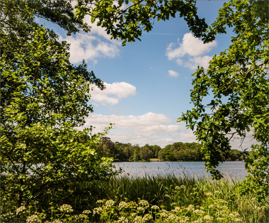 Ascot Leisure and Green spaces