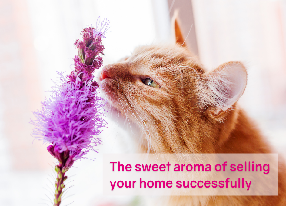 How certain smells can help sell your home