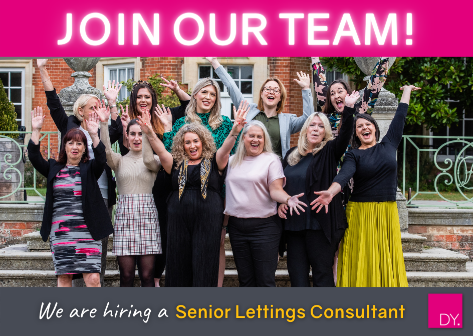 We are hiring a Senior Lettings Consultant